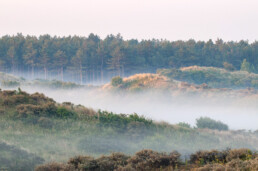 Lagen mist tussen duinhellingen tijdens een koude zonsopkomst in het Noordhollands Duinreservaat bij Egmond-Binnen