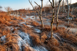 Met rijp bedekte oever van infiltratiekanaal tijdens winter in het Noordhollands Duinreservaat bij Heemskerk