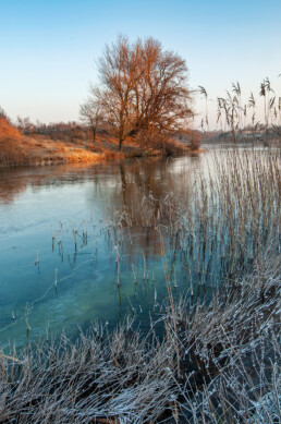 Sneeuw en ijs aan de oever van een infiltratiekanaal tijdens winter in de Amsterdamse Waterleidingduinen bij Vogelenzang