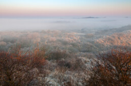 Mistige zonsopkomst in een koud, bevroren duinlandschap van het Nationaal Park Zuid-Kennemerland bij IJmuiden