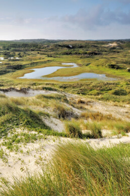 Uitzicht vanaf duintop over duinlandschap van Zuider Achterveld met zanderige hellingen en natte valleien in het Noordhollands Duinreservaat bij Egmond aan Zee.