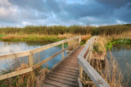 Houten wandelbrug over het water van het moeras in de duinen van het Zwanenwater bij Callantsoog.