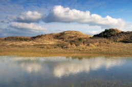 Weerspiegeling van witte wolken en blauwe lucht in het water van een natte duinvallei in het Nationaal Park Zuid-Kennemerland bij Bloemendaal aan Zee.