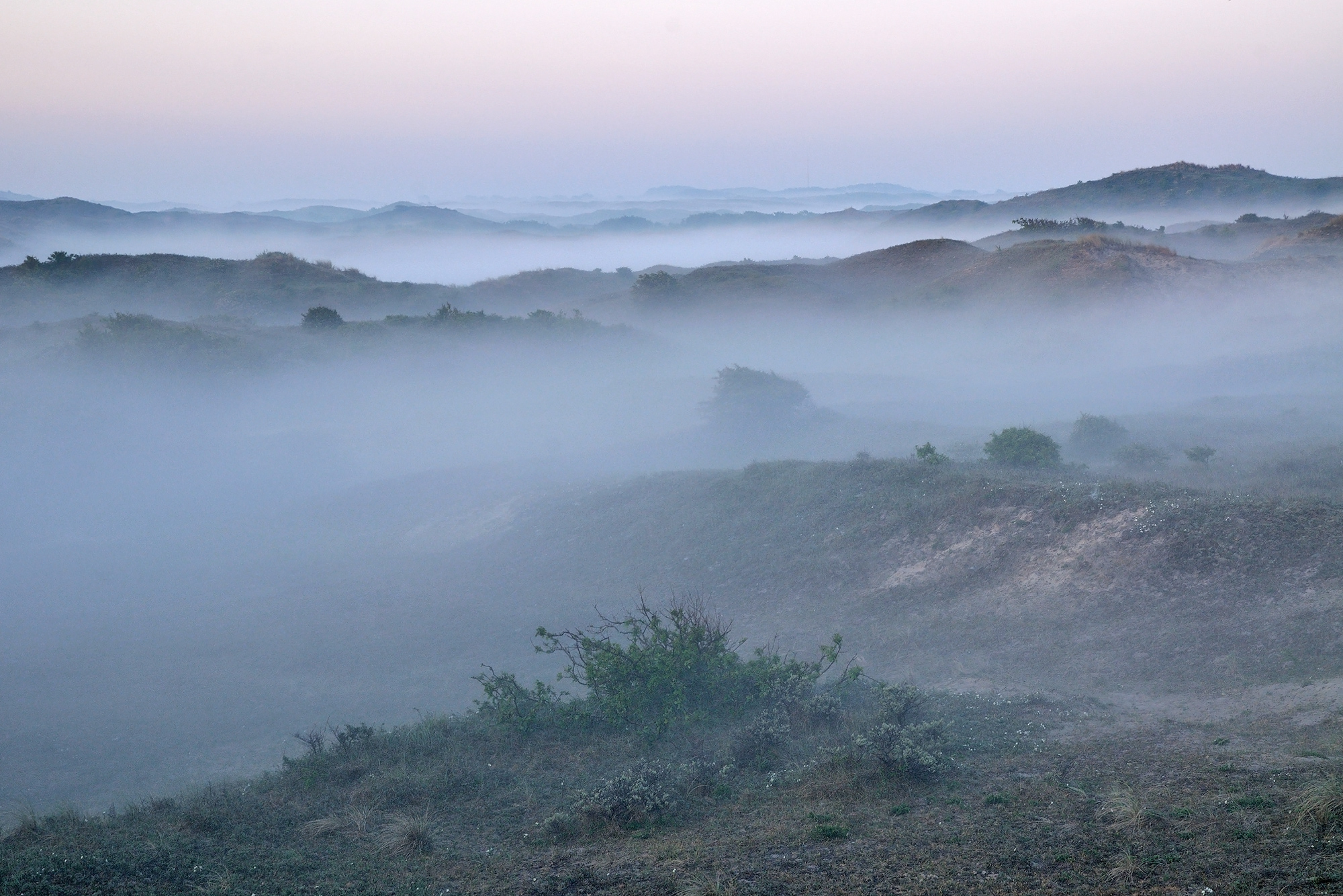 Lagen mist tussen de duinen tijdens zonsopkomst in de vroege ochtend in het Noordhollands Duinreservaat bij Castricum aan Zee.