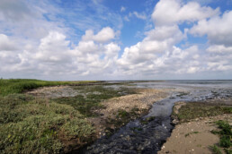 Stromend water in kreek tijdens laagwater op de kwelder 'De Schorren' op het waddeneiland Texel.