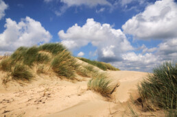 Blauwe wolkenlucht boven wuivend helmgras en duinzand in de stuifduinen van de Van Limburg Stirum vallei in de Amsterdamse Waterleidngduinen bij De Zilk.