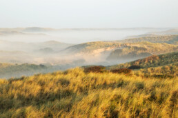 Uitzicht op duinlandschap met laagjes mist tussen de duinhellingen tijdens zonsopkomst in de duinen bij Egmond-Binnen.