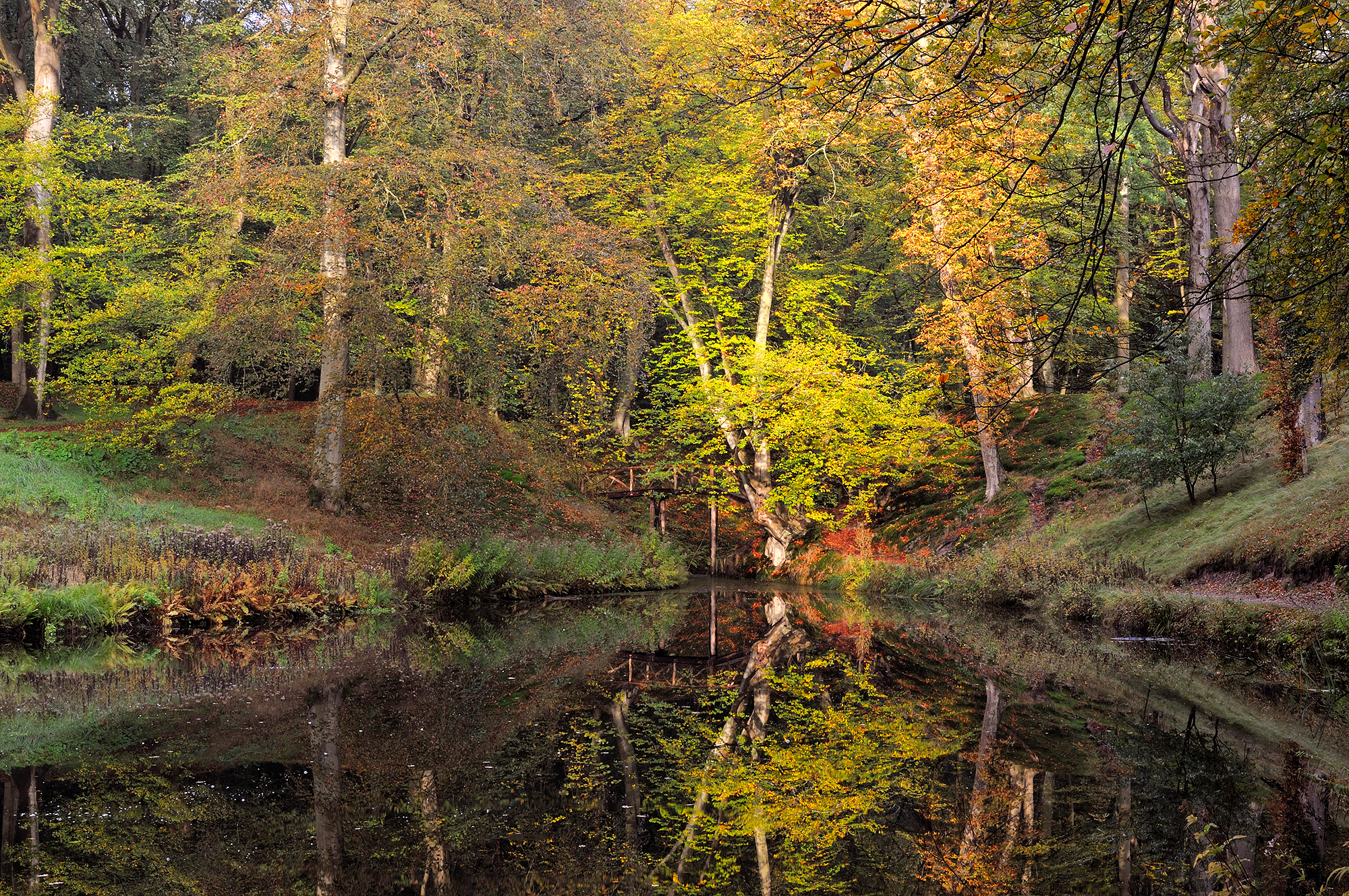 Weerspiegeling van kleuren herfstbos in het water van eenvijver op Landgoed Elswout in Overveen