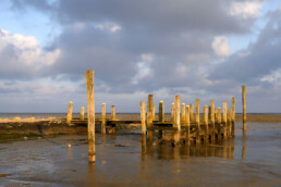 Zonlicht schijnt op de verweerde, houten palen en planken van een steiger in de haven van De Cocksdorp op het waddeneiland Texel.