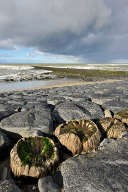 Dreigende wolken van naderende storm boven de keien en palen van de Hondsbossche Zeewering bij Petten.