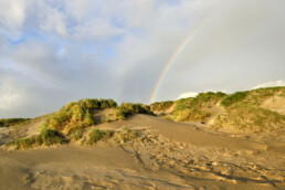 Regenboog boven het strand en de eerste rij zeeduinen na een regenbui op het Kennemerstrand bij IJmuiden.