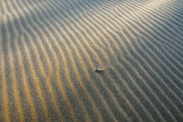 Licht van zonsopkomst schijnt over de grillige vormen van bevroren zandribbels aan de voet van de duinen op het strand van Heemskerk.