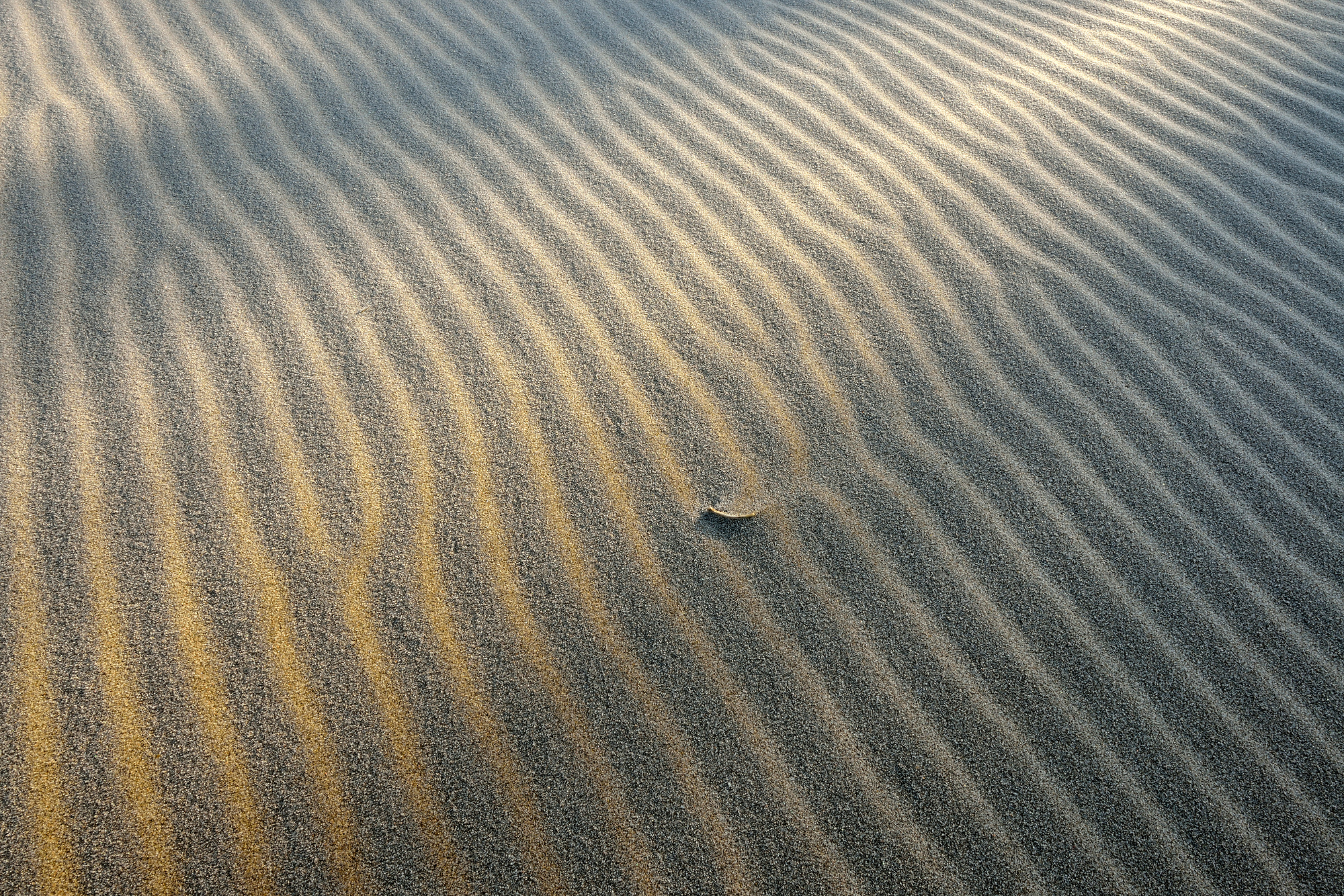 Licht van zonsopkomst schijnt over de grillige vormen van bevroren zandribbels aan de voet van de duinen op het strand van Heemskerk.