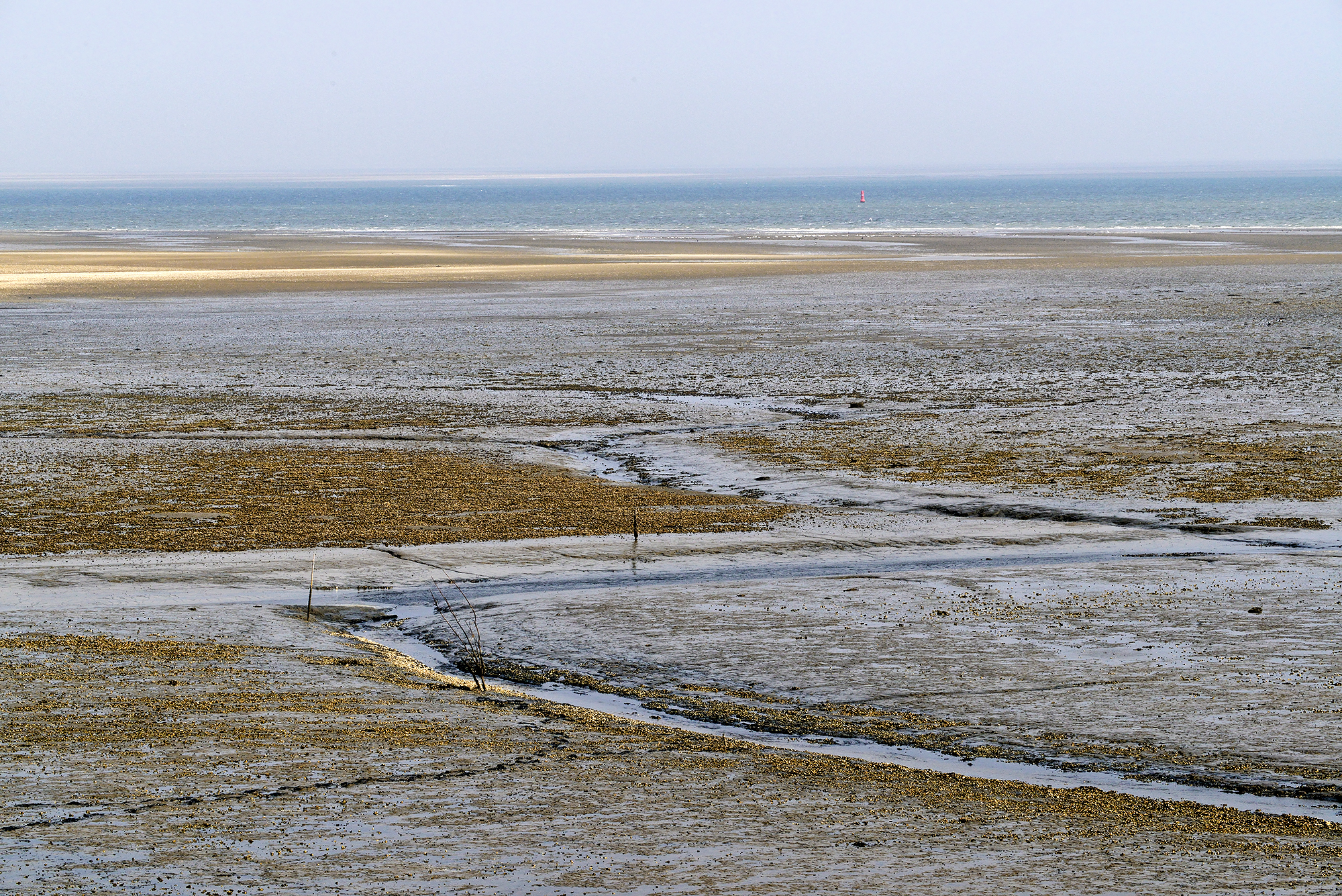 Uitzicht vanaf de dijk over slingerende geul langs drooggevallen slikplaten en oesterbanken tijdens laagwater bij De Cocksdorp op het waddeneiland Texel. 