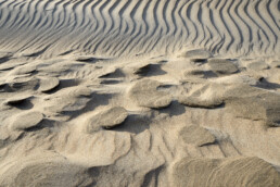 Door de wind uitgesleten vormen in het duinzand van de helmduinen op het Kennemerstrand bij IJmuiden.