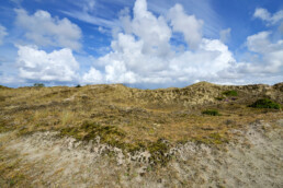 Kalen, open duinhellingen met grassen, zand en mossen in de Schoorlse Duinen bij Hargen aan Zee.