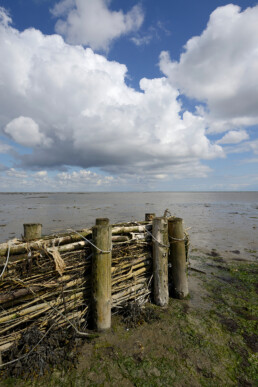 Een rijshouten dam beschermt kwelder tegen afslag tijdens laagwater op het Balgzand bij Den Helder