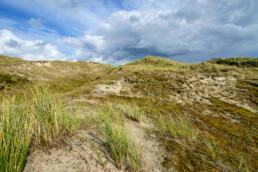 Kaal, open landschap van grijze duinen met zand, grassen en mossen in de Noordduinen bij Julianadorp aan Zee
