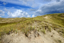 Kale duinhellingen met zand, grassen en mossen in het open duinlandschap van de Noordduinen bij Julianadorp aan Zee.