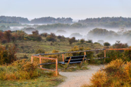 Uitkijkpunt met bankje op duintop met lagen mist tussen duinhellingen tijdens zonsopkomst in het Nationaal Park Zuid-Kennemerland bij Bloemendaal.