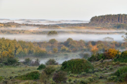 Uitzicht over duinlandschap met lagen mist tussen duinhellingen tijdens zonsopkomst in het Nationaal Park Zuid-Kennemerland bij Bloemendaal