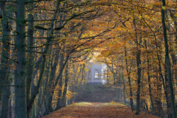 Zicht op het uitkijkpunt Belvedere door een bomenlaan met geel en oranje blad tijdens herfst op Buitenplaats Leyduin in Heemstede