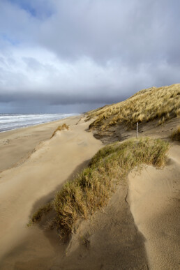 Uitzicht vanaf zanderige duinhelling met wuivend helmgras op de Noordzee en het verlaten strand tijdens winter in Wijk aan Zee.