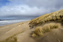 Uitzicht vanaf zanderige duinhelling met wuivend helmgras op de Noordzee en het verlaten strand tijdens winter in Wijk aan Zee.