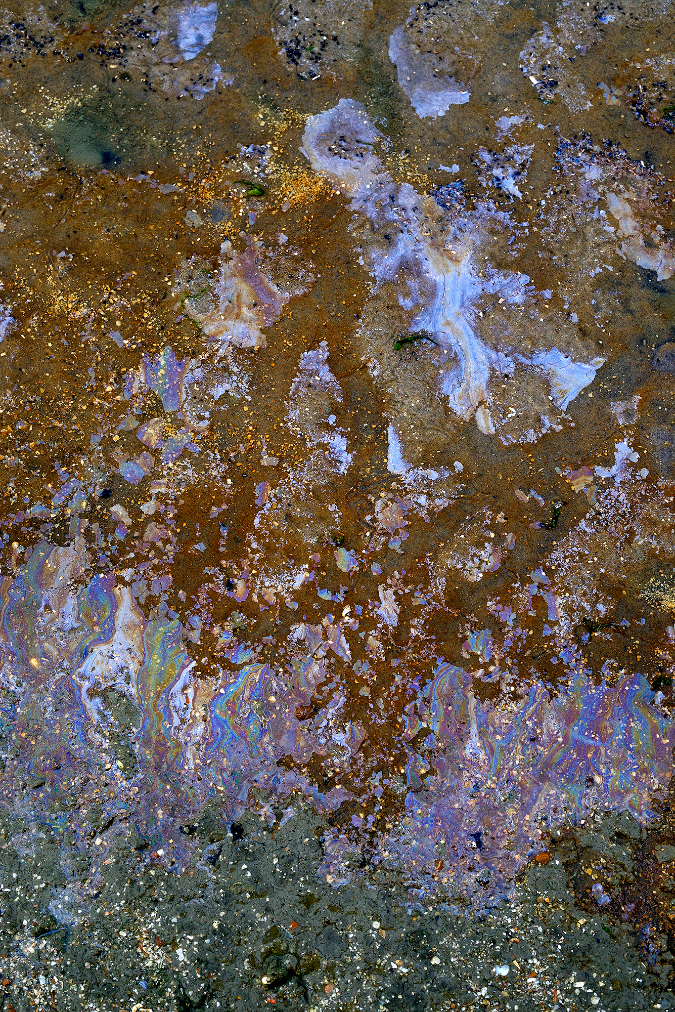 Kwel met lagen van olieachtige ijzerbacteriën en roestkleurig water aan de voet van de duinen op het strand van Hargen aan Zee.