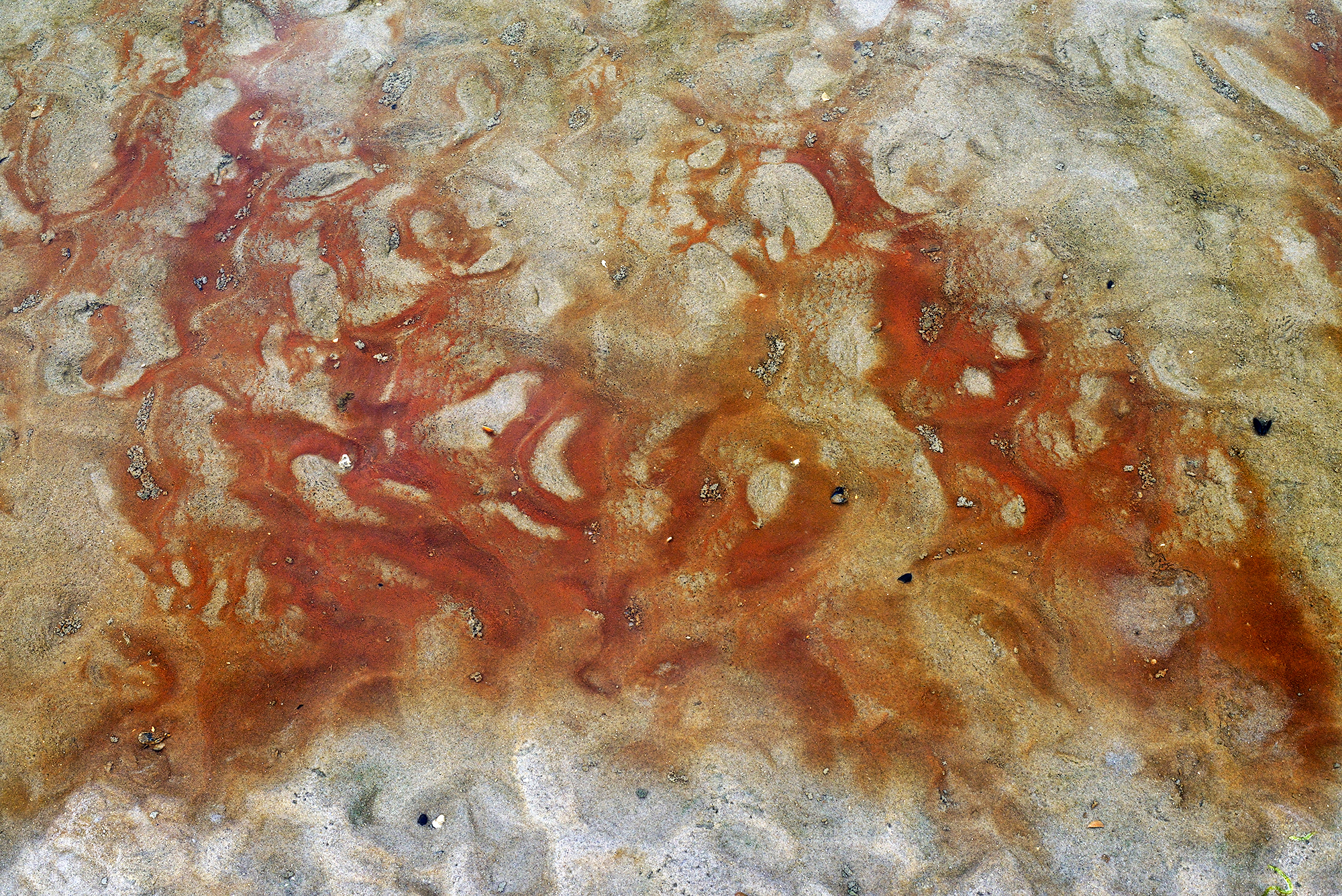 Mooie patronen van roestbruin kwelwater uit de duinen in een zwin op het strand van Hargen aan Zee