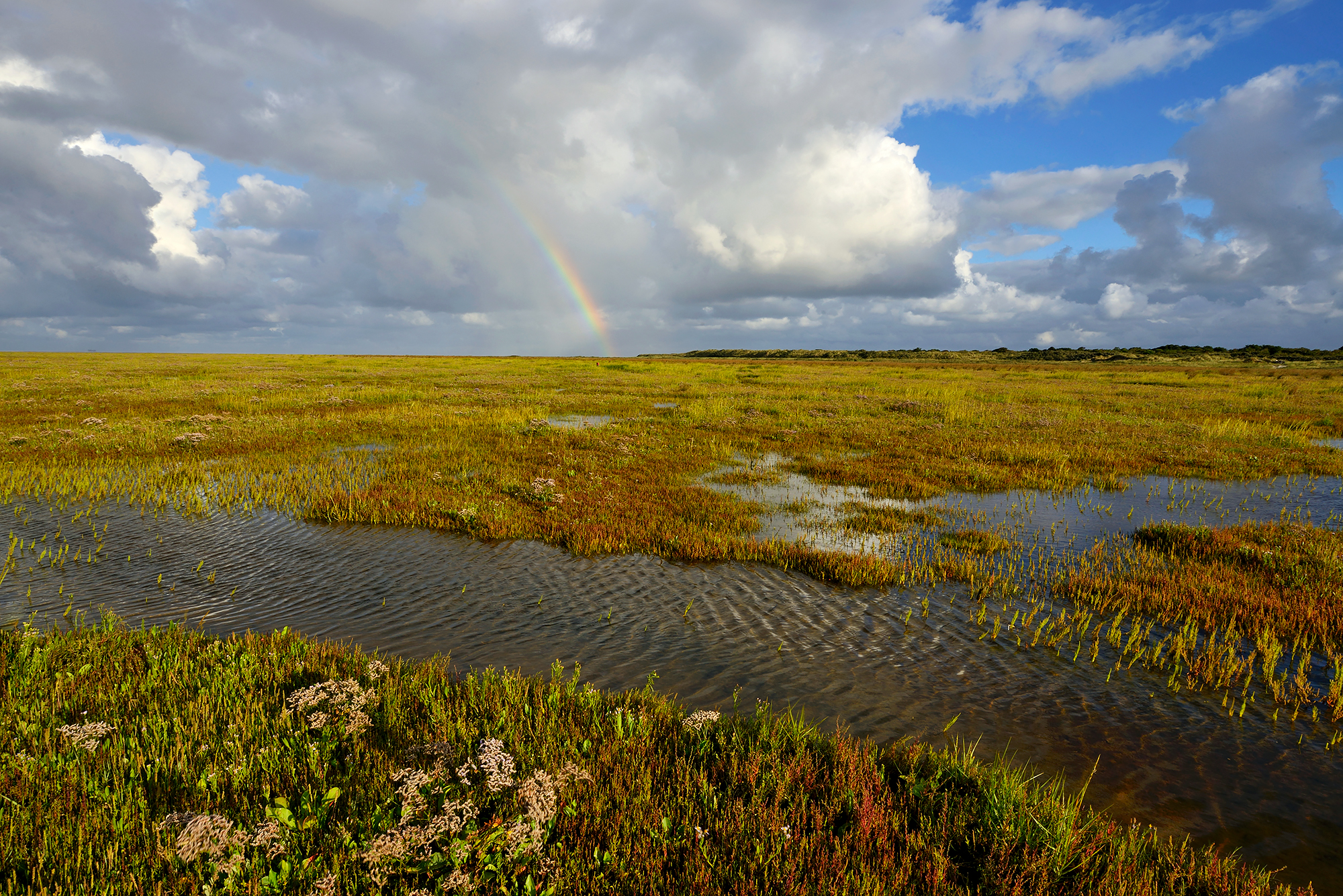 Grote wolk en regenboog boven slenk in de kwelder van het Westerstrand op het waddeneiland Schiermonnikoog