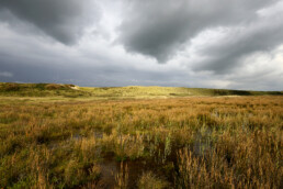 Donkere wolken pakken zich samen boven een natte vallei in de duinen van de Slufter op het Waddeneiland Texel