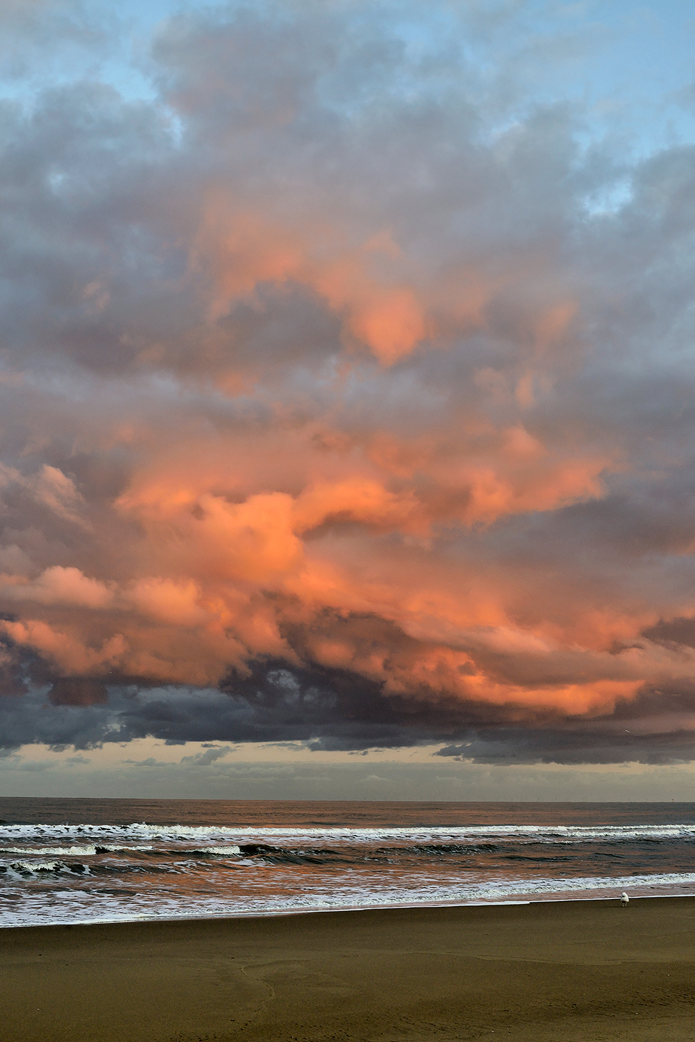 Warm, roze licht van de zon schijnt op een wolkenlucht boven zee tijdens zonsopkomst op het strand van Bloemendaal aan Zee.