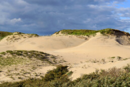 Zanderige duinhellingen van grote stuifduinen in de zeereep van het Nationaal Park Zuid-Kennemerland bij strandopgang Nieuwe Kattendel