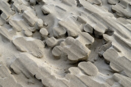 Uitgekerfde zandvormen in een grote stuifkuil in de duinen op het strand van Heemskerk