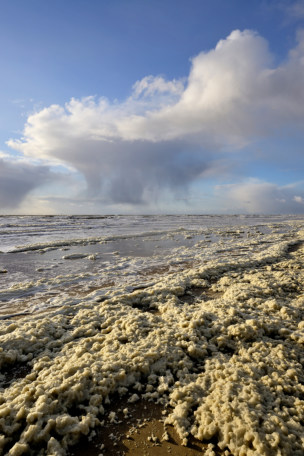 Regenbui en vlokken van aangespoeld schuimalg langs de vloedlijn tijdens storm op het strand van Wijk aan Zee.