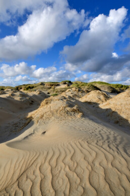 Blauwe lucht en witte wolken boven de zeeduinen op het Kennemerstrand bij IJmuiden.