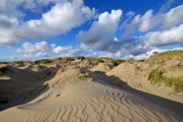 Blauwe lucht en witte wolken boven de zeeduinen op het Kennemerstrand bij IJmuiden.