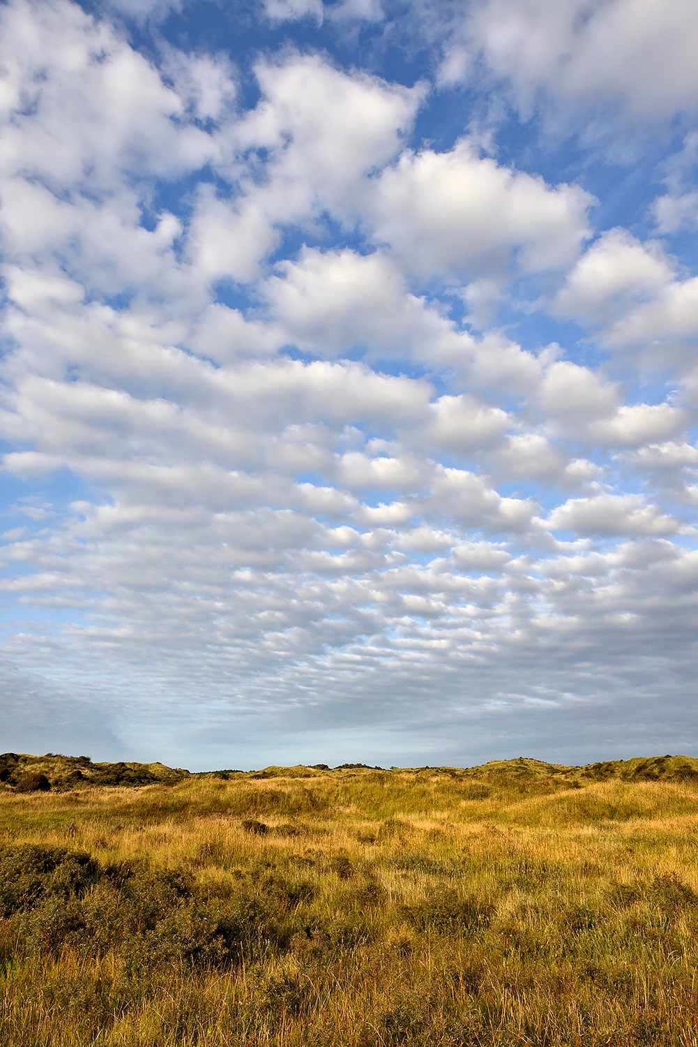 Waaier van schapenwolken boven de duinen van het Noordhollands Duinreservaat bij Wijk aan Zee.