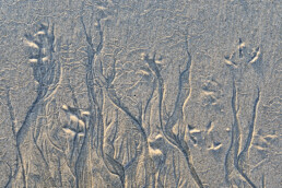Pootafdrukken van vogel en slingerende zandpatronen langs de vloedlijn tijdens laagwater op het strand van Hargen aan Zee