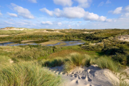 Uitzicht vanaf duinhelling over natte valleien in het Noordhollands Duinreservaat bij Egmond aan Zee.