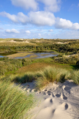 Uitzicht vanaf duinhelling over natte valleien in het Noordhollands Duinreservaat bij Egmond aan Zee.