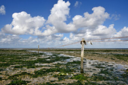 Met palen en touw afgezet vogelreservaat op drooggevallen slik tijdens laagwater op De Volharding op waddeneiland Texel