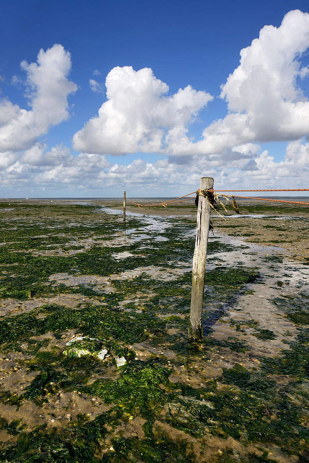 Met palen en touw afgezet vogelreservaat op drooggevallen slik tijdens laagwater op De Volharding op waddeneiland Texel.
