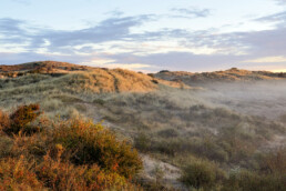 Warm zonlicht schijnt over duinhelling met mist op de voorgrond tijdens zonsopkomst in het Noordhollands Duinreservaat bij Egmond-Binnen