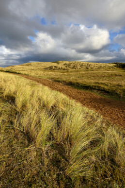 Mooie wolkenlucht boven met gras bedekt wandelpad door de duinen van het Noordhollands Duinreservaat bij Bakkum.