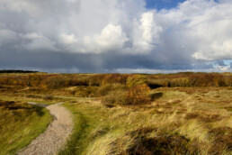 Wolkenlucht en regenbui boven slingerend wandelpad door het duinlandschap van de Pettemerduinen bij Petten