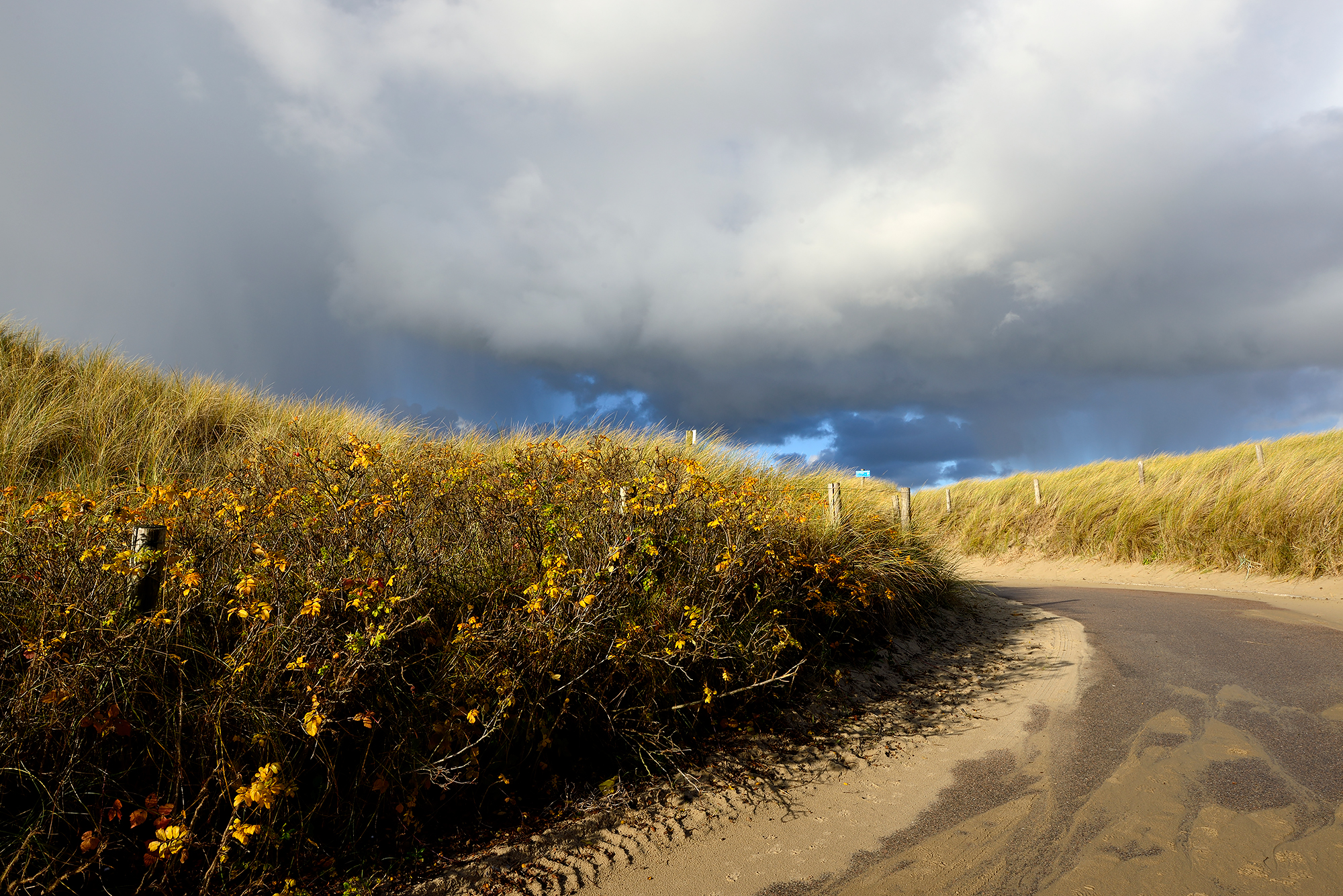 Donkere lucht van een regenbui boven het pad van strandopgang in de Noordduinen bij Callantsoog