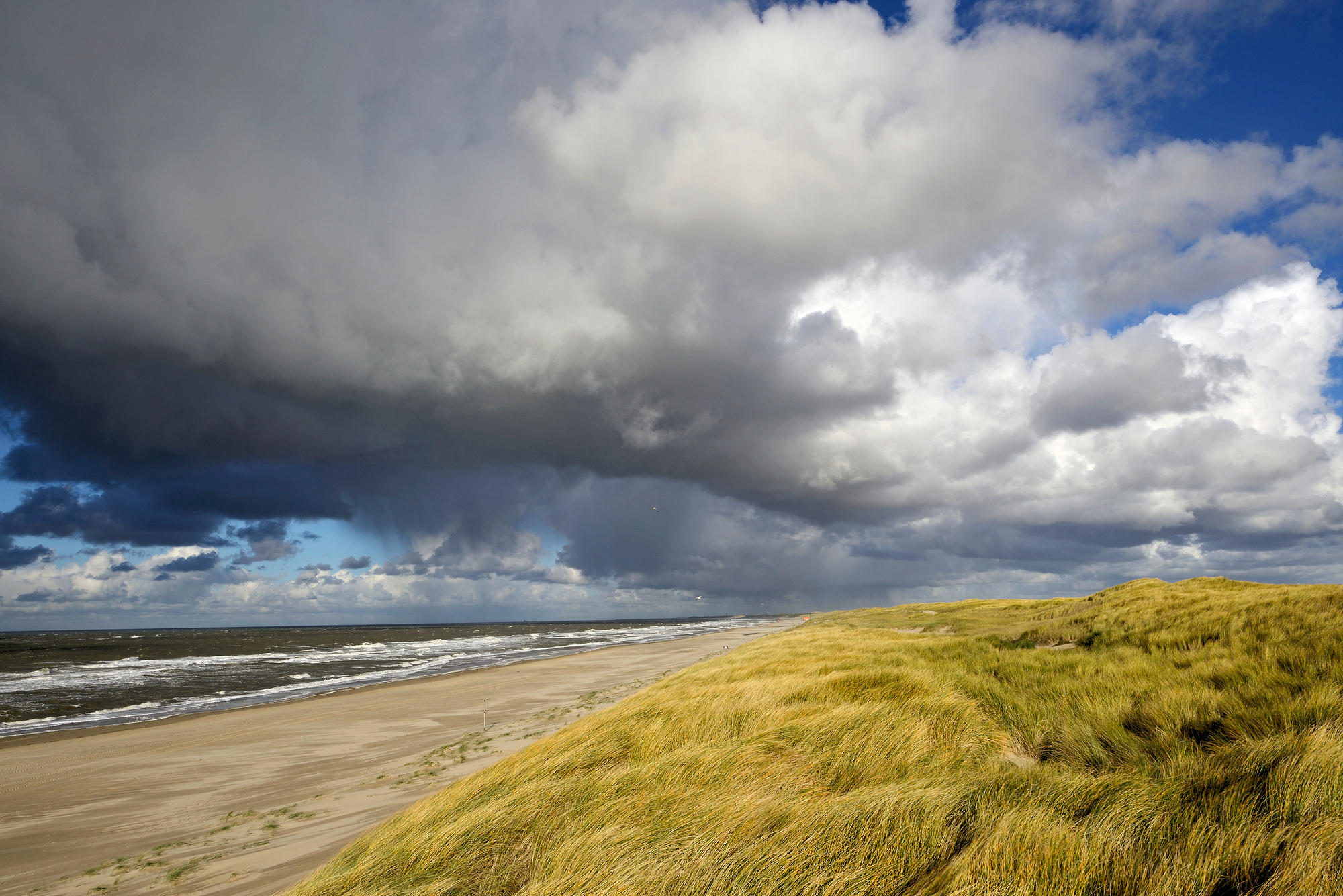 Donkere lucht van regenbui boven strand, duinen en zee in de Noordduinen ten noorden van Callantsoog