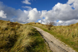 Blauwe lucht met wolken boven een steile duinhelling met helmgras en schelpenpad in de Pettemerduinen bij Petten.